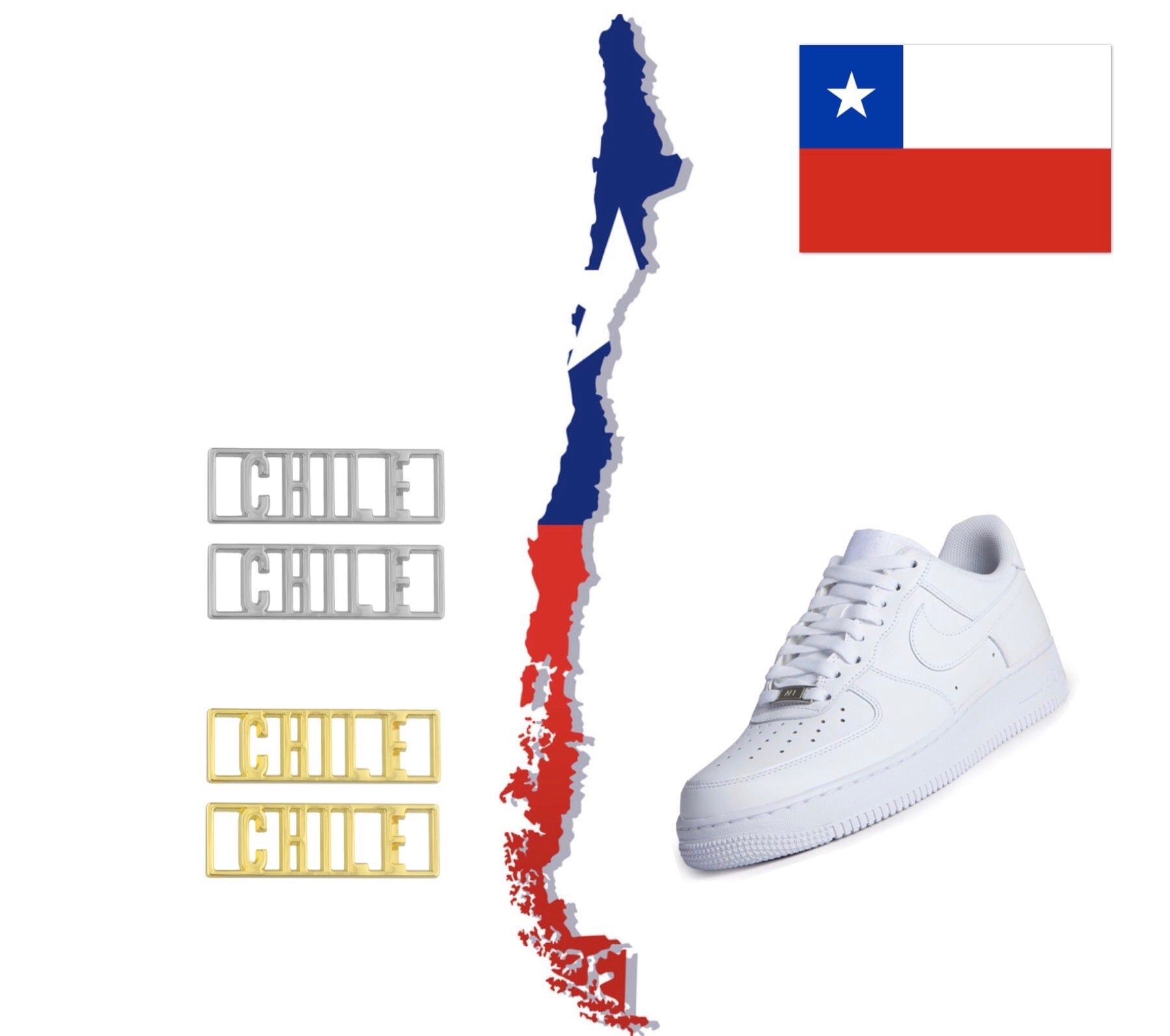 Chile Statement Dubraes