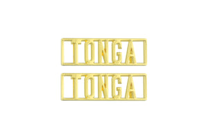 Tonga Statement Dubraes