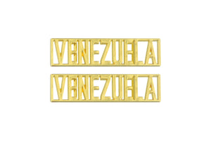Venezuela Statement Dubraes