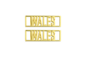 Wales Statement Dubraes