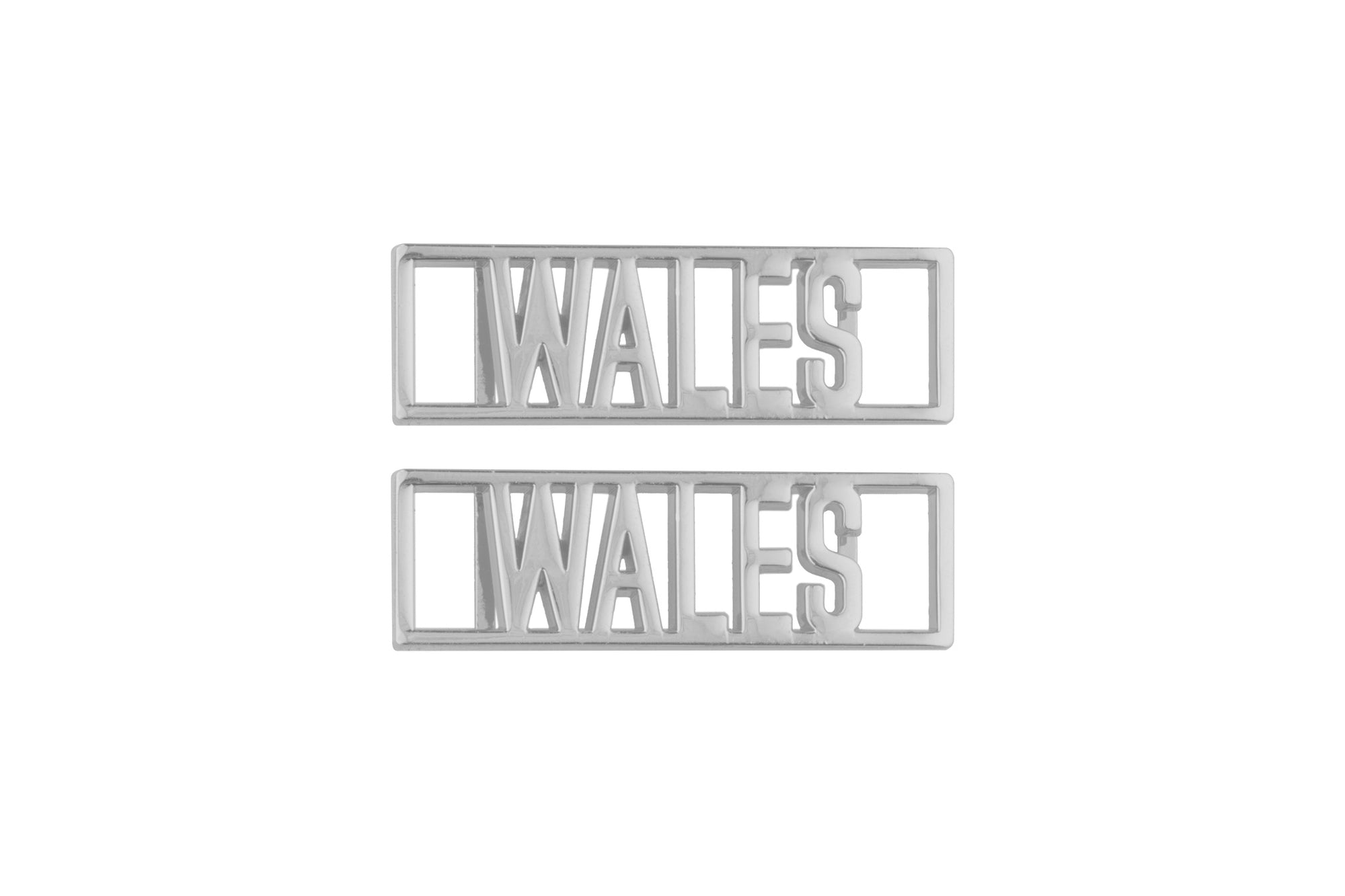 Wales Statement Dubraes